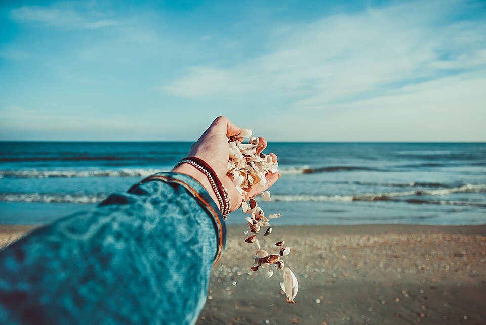 Hand holding seashells on a beach